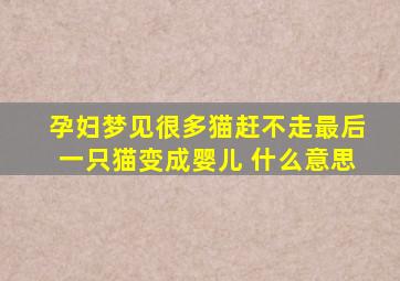 孕妇梦见很多猫赶不走最后一只猫变成婴儿 什么意思